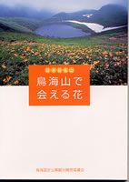 日本百名山 鳥海山で会える花